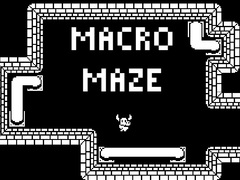 Тоглоом Macro Maze