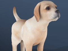 Тоглоом IDLE Pet