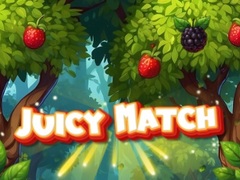 Тоглоом Juicy Match