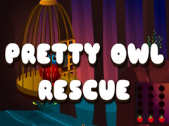 Тоглоом Pretty Owl Rescue