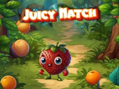 Тоглоом Juicy Match