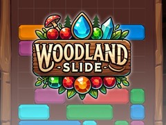 Тоглоом Woodland Slide