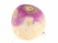 Тоглоом Turnip