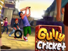 Тоглоом Gully Cricket