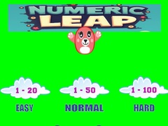 Тоглоом Numeric Leap