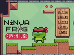 Тоглоом Ninja Frog Adventure