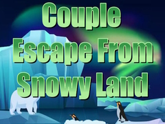 Тоглоом Couple Escape from Snowy Land