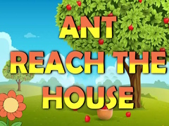 Тоглоом Ant Reach the House
