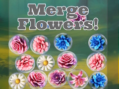 Тоглоом Merge Flowers!