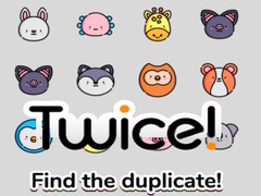 Тоглоом Twice! Find the Duplicate!