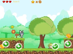 Тоглоом Baby Cat Adventure