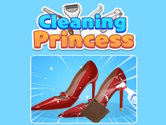 Тоглоом Cleaning Princess