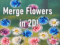 Тоглоом Merge Flowers in 2D!