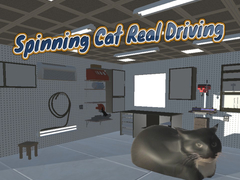 Тоглоом Spinning Cat Real Driving