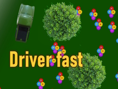 Тоглоом Driver fast