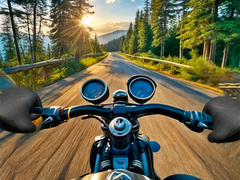 Тоглоом Motorcycle Racer: Road Mayhem