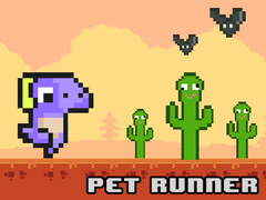 Тоглоом Pet Runner