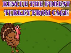 Тоглоом Rescue the Forest Turkey from Cage