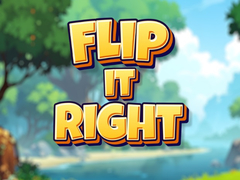 Тоглоом Flip It Right