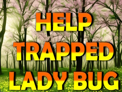 Тоглоом Help Trapped Lady Bug