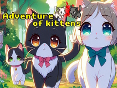 Тоглоом Adventure of Kittens
