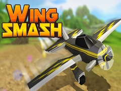 Тоглоом Wing Smash