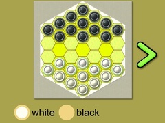 Тоглоом Pskov Checkers