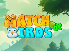 Тоглоом Match Pop Birds
