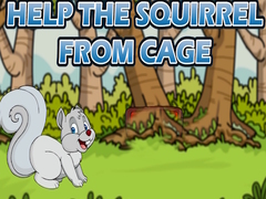 Тоглоом Help The Squirrel From Cage