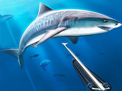 Тоглоом Hunting Underwater Spearfishing