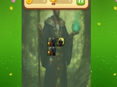 Тоглоом Nature Druid Memory Match