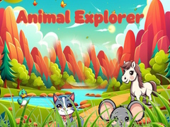 Тоглоом Animal Explorer 