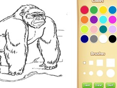 Тоглоом Zoo Animals Coloring Book for Kids
