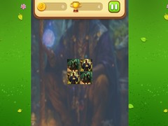 Тоглоом Magic Druid Memory Match