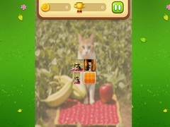 Тоглоом Farm Cat Memory Match