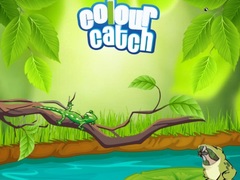 Тоглоом Colour Catch