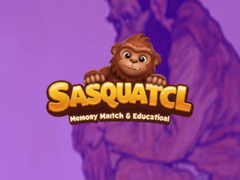 Тоглоом Sasquatch Memory Match & Educational