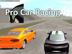 Тоглоом Pro Car Racing