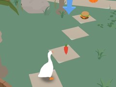 Тоглоом Crazy Goose Simulator
