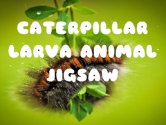 Тоглоом Caterpillar Larva Animal Jigsaw
