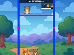 Тоглоом Evolution Of Hamsters