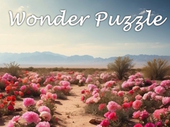 Тоглоом Wonder Puzzle
