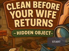 Тоглоом Clean Before Your Wife Returns Hidden Object
