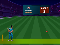 Тоглоом Cricket Night 2