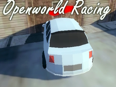 Тоглоом Openworld Racing