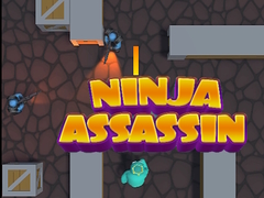 Тоглоом Ninja Assassin