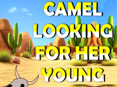 Тоглоом Camel Looking For Her Young