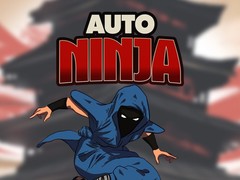 Тоглоом Auto Ninja