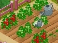 Тоглоом New Farmer 2