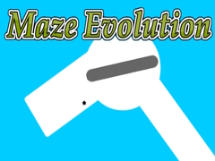 Тоглоом Maze Evolution